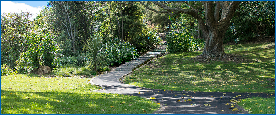 mt eden steps